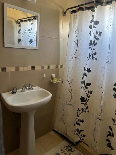 a bathroom with a sink and a shower curtain at Casita en plottier in Plottier