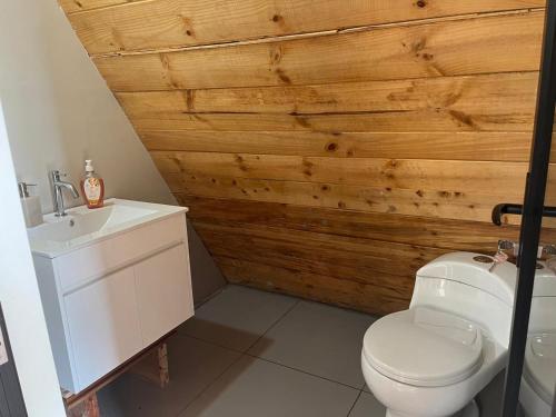 a bathroom with a white toilet and a sink at Conga Lodge Cabana Alpina in La Conga
