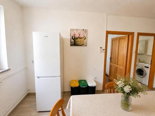 a kitchen with a white refrigerator and a table at Apartments Renato Mužić Cres in Cres