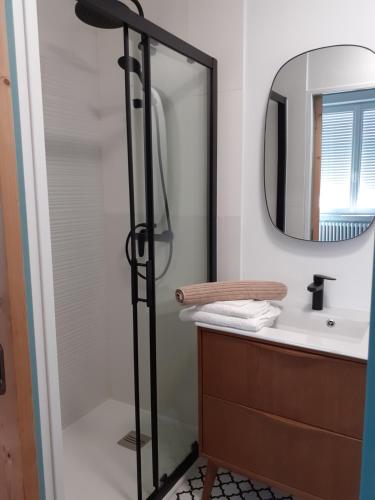 a bathroom with a shower and a sink at Les Chambres de Kérity in Penmarch