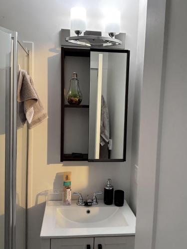 a bathroom with a sink and a mirror at Private Spacious Walkout Suite Near Downtown in Halifax