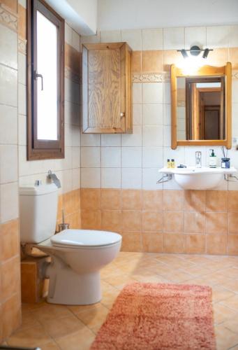 a bathroom with a toilet and a sink at Alexis new villas in Chrysi Ammoudia
