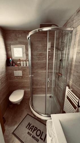 a small bathroom with a shower and a toilet at suite romantique jacuzzi & piscine privée en pleine forêt in Saint-Zacharie