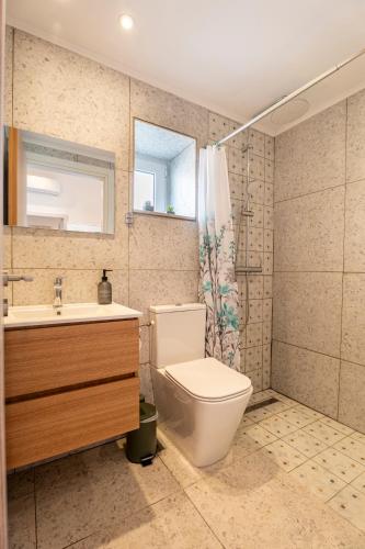 a bathroom with a toilet and a sink and a shower at Vasiliko House in Kalavárda