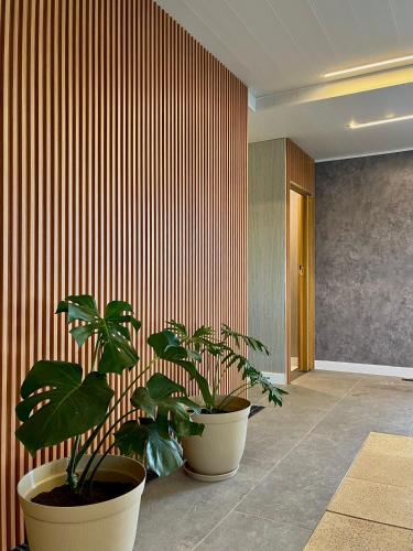 two potted plants in a room with a wall at Alamo Hotel in Villa Carlos Paz