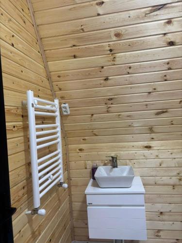 a bathroom with a wooden wall with a sink at Sisters House in Borjomi