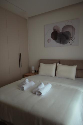 Choros Apartment Queens loft