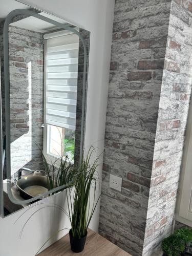 a mirror in a bathroom with a brick wall at Cocon romantique Jardin de la princesse idéal couple Calme & nature Vosges in Senones