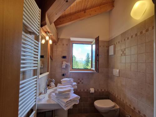 a bathroom with a sink and a toilet and a window at Appartamento da Meto in San Martino di Castrozza