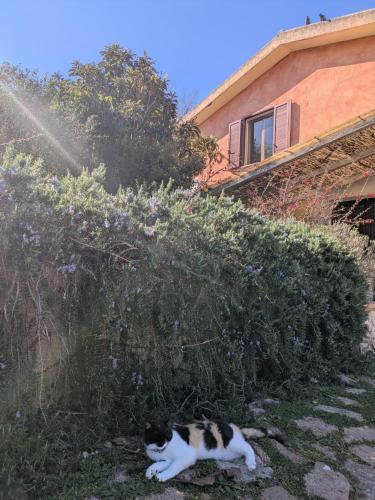 Isola Natura Farm Retreat Sardinia