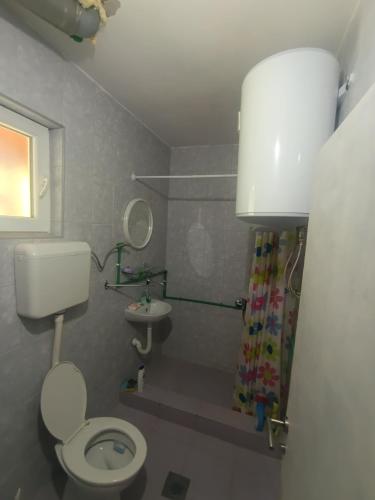 a bathroom with a toilet and a sink at Anika apartmani in Tjentište