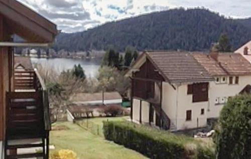 Amazing Apartment In Gerardmer With Lake View