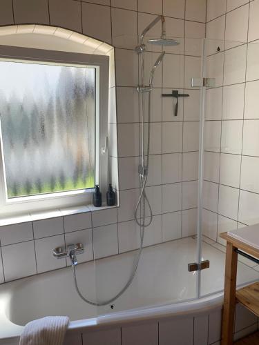 a bathroom with a shower and a tub with a window at Ferienhaus Kobel in Stromberg