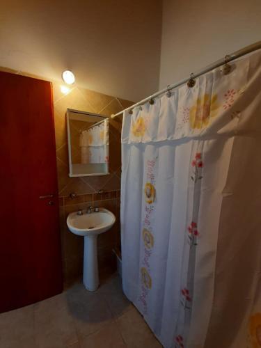 a bathroom with a shower curtain and a sink at Del Centro Dptos in Federación