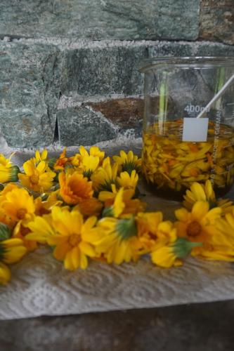 Φωτογραφία από το άλμπουμ του Herzoghof σε Leogang