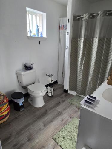 a bathroom with a toilet and a shower and a sink at Lillian's Cozy Corner in Palmer