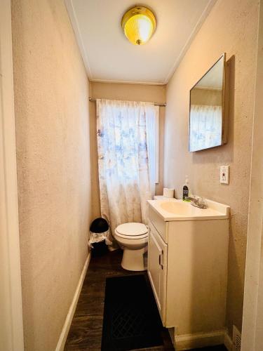 a bathroom with a toilet and a sink and a mirror at Niagara View at LaSalle SH in Niagara Falls