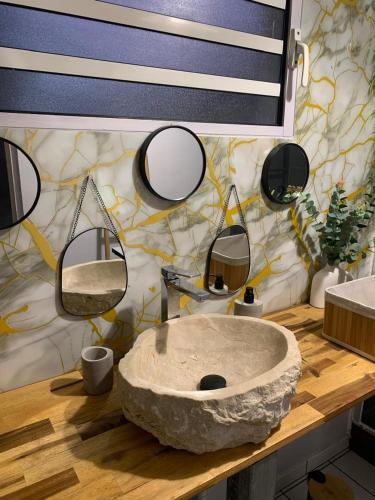 a bathroom with a large stone sink and mirrors at Tortue marine in Saint-Benoît