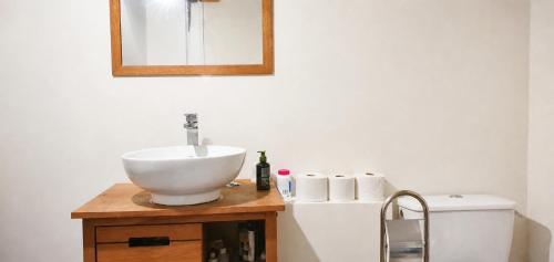 a bathroom with a sink and a mirror and a toilet at Le bois saint Hilaire in Lémeré