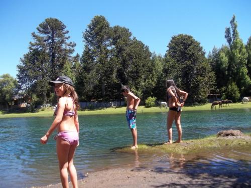 a group of people standing on the shore of a lake at Sueño de Pehuenia in Villa Pehuenia