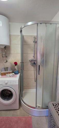a shower in a kitchen with a washing machine at Studio Apartman DORA in Senj