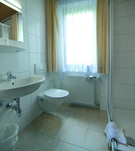a bathroom with a toilet and a sink and a window at Gasthof Bad Sonnenberg in Nüziders