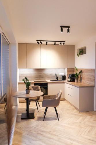 Apartment Trencin - modern apartment with free parking