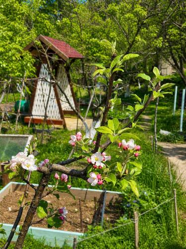 The Secret Garden House