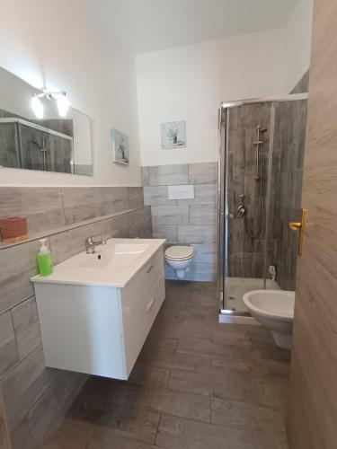 a bathroom with a sink and a shower and a toilet at Villa Rosa in Surrau in Arzachena