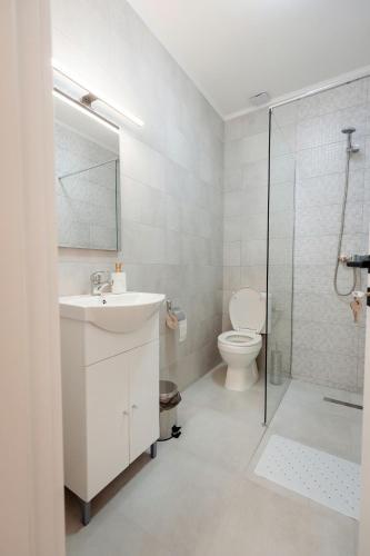 a bathroom with a sink and a toilet at Casa Vlad in Tisa