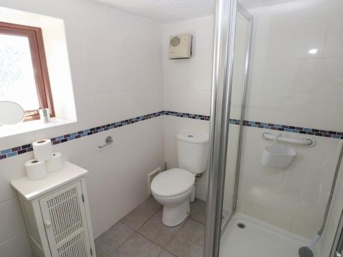 a white bathroom with a toilet and a shower at Butterslade in Swansea