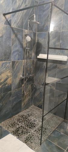 a shower in a bathroom with a glass wall at Fleur de Vanille in Saint-Philippe