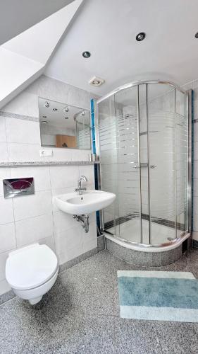 a bathroom with a toilet and a sink and a shower at Agroturystyka Düsselkamp Tumiany in Barczewo