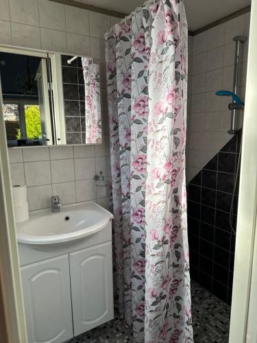 a bathroom with a sink and a shower curtain at Boende nära sjö i Gyltige Simlångsdalen in Simlångsdalen