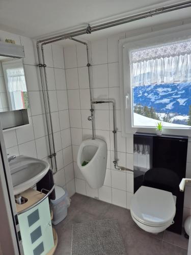 a bathroom with a toilet and a sink and a window at Seilbahnstubli in Ibergeregg