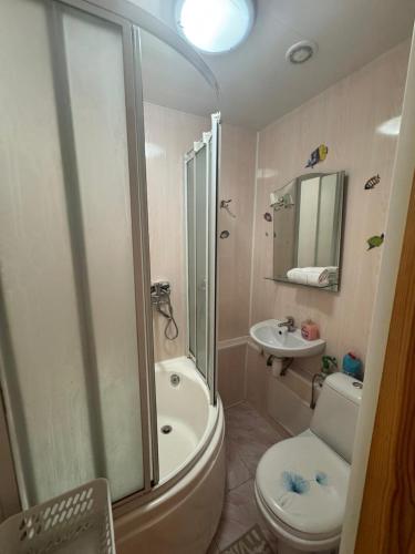 a bathroom with a shower and a toilet and a sink at Teatra 34-31 in Daugavpils