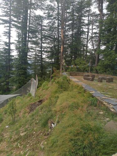 Gallery image of Ahistay Homes in Shimla