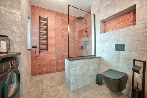 a bathroom with a shower and a toilet at Willa Gostomko in Gostomko