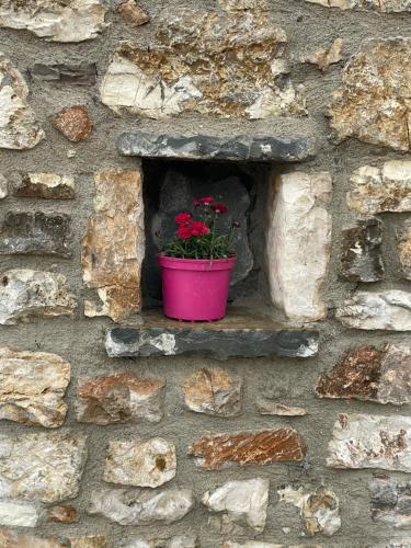 a pink pot of flowers in a stone wall at Sterna in Mesovounion-Zagori