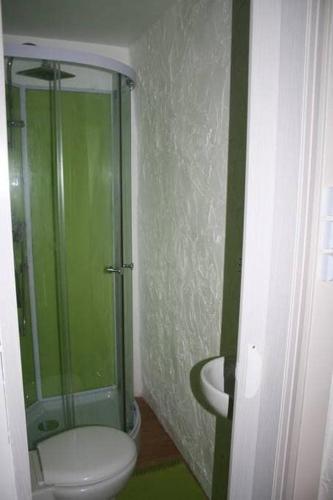 a bathroom with a toilet and a glass shower at Tour médiévale in Saint-Georges-de-Luzençon