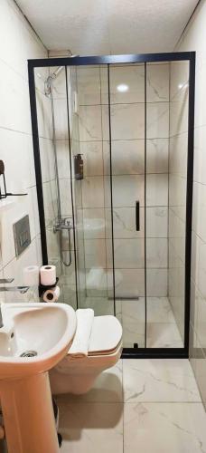 a bathroom with a shower and a toilet and a sink at Otantik Hotel in Istanbul