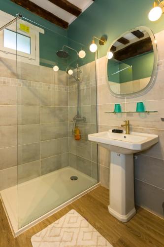 a bathroom with a shower and a sink and a mirror at Auberge du Manoir d'Archelles in Arques-la-Bataille
