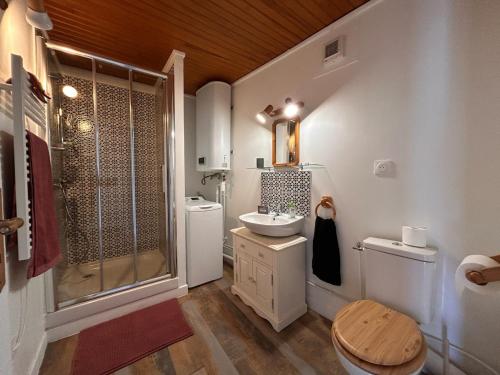a bathroom with a shower and a toilet and a sink at Maison Lilas in Pontarion
