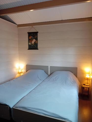 two twin beds in a bedroom with two lights at B&B Stripsein in Wijnjewoude