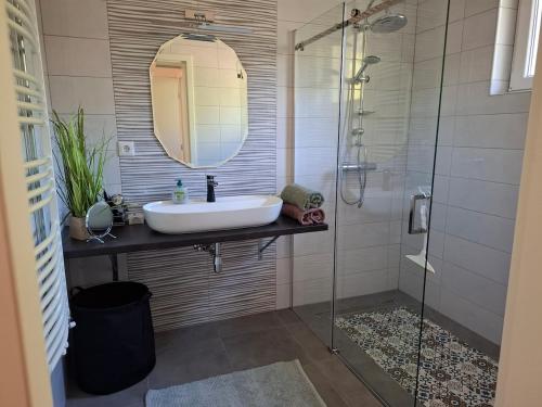 a bathroom with a sink and a shower with a mirror at Vidam in Csengőd