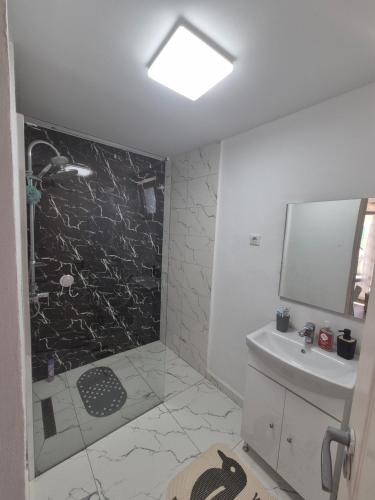 a bathroom with a shower and a sink at Paul's Houses 2 in Ocna-Mureşului