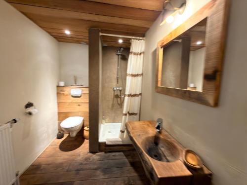 a bathroom with a wooden sink and a toilet at L'Alterre Durbuy in Durbuy