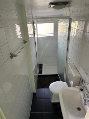 a bathroom with a toilet and a sink and a shower at Boshuis Green Forest in Durbuy