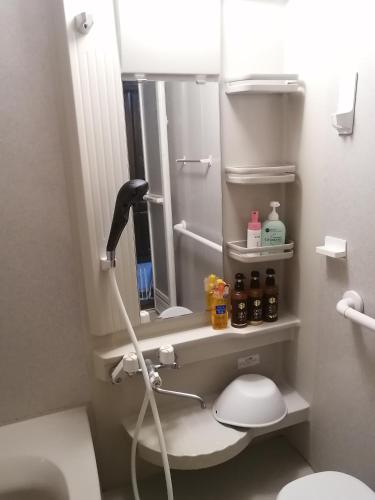 ein Badezimmer mit Toilette und Spiegel in der Unterkunft あらさんち in Asahikawa