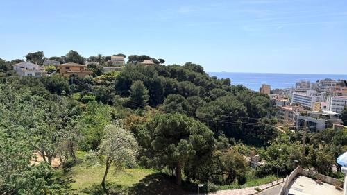 Bella Vista